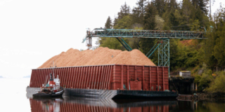 A metal conveyor pours wood chips from a forested area into a barge floating on shore.