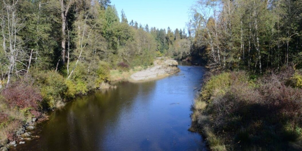 image of Tsolum river in summer