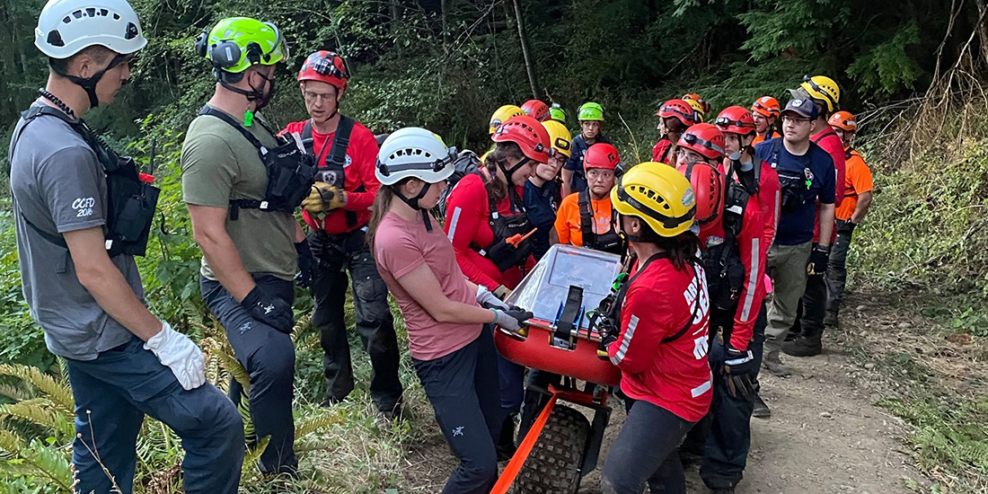 Arrowsmith Search and Rescue team walks an injured person out of the woods. The person is inside a stretcher that looks like a long wheelbarrow.