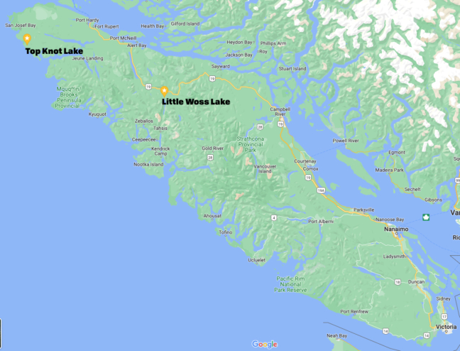 A map of Vancouver Island with the lakes labelled. They are on the north end of the island.