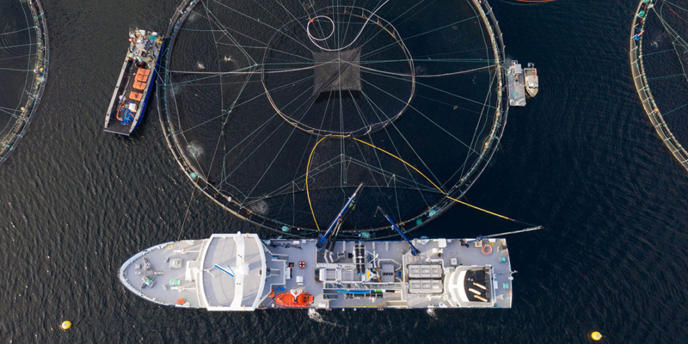 An aerial, top-down shot of a boat floating alongside an open net fish farming pen.