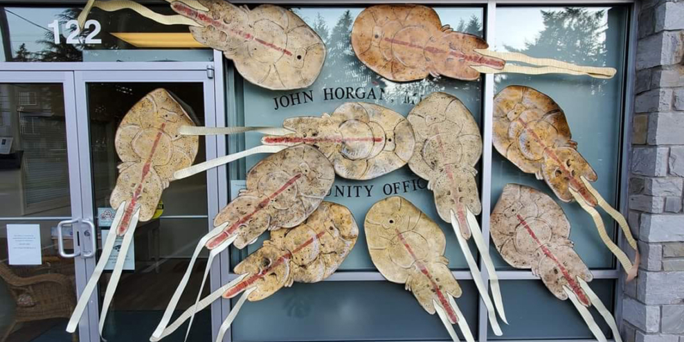 Large paper cutouts that look like sea lice are pasted to John Horgan's office window. There are so many they almost completely obscure the window.