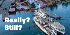 An aerial photo of two ships being broken apart in Union Bay with the words "Still? Really?" overtop.