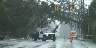 BC Hydro crews clean up power lines that were damaged by falling trees in a windstorm in Campbell River, 2012.