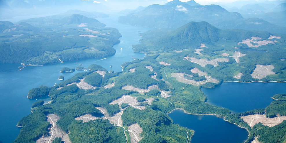 An aerial view of clearcuts in BC.
