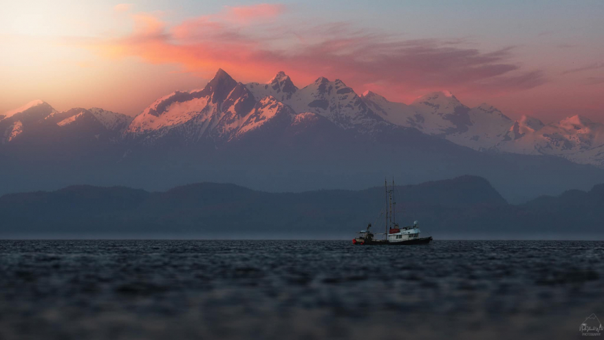 A longliner crosses the Queen Charlotte Strait in a cotton candy pink sunset.