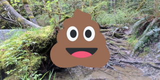 A poop emoji smiles over top of a wooded lagoon.