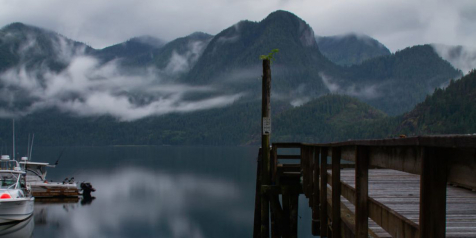 A dock stretches out into the water in misty Zeballos.