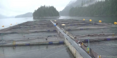 A factory fish farm on a stormy day.