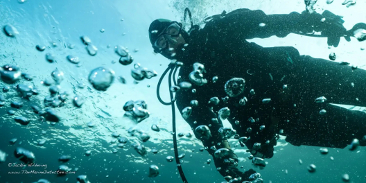 Jackie Hildering, the Marine Detective, swims underwater in scuba gear.