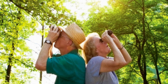Two folks stand back to back with binoculars in the woods.