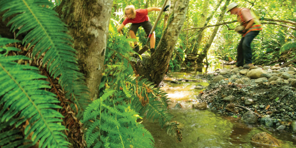Two people inspect a wooded tributary just before it meets Morrison Creek.
