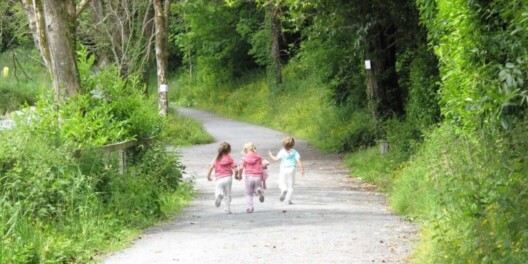 Three children running away from the camera along a gravel trail in the woods