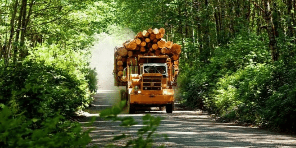 Full logging truck drives on logging road toward camera