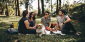 Group of people having a picnic with a dog on a field with thin trees in the background.