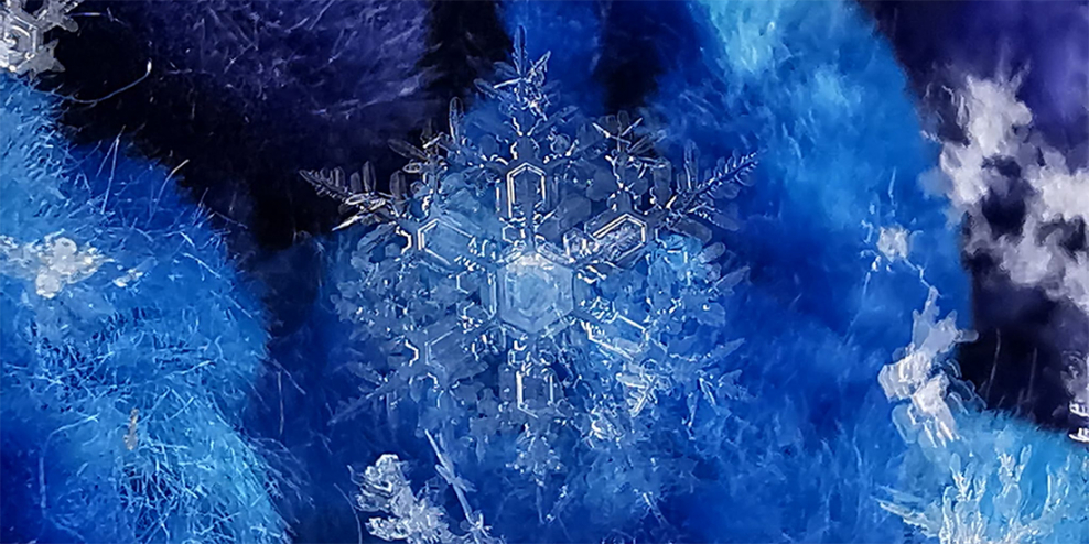 A closeup of a snowflake on a dark blue background.