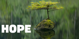 A picture of the tiny tree growing out of a rock in the middle of Fairy Lake. The word HOPE is next to the tree.