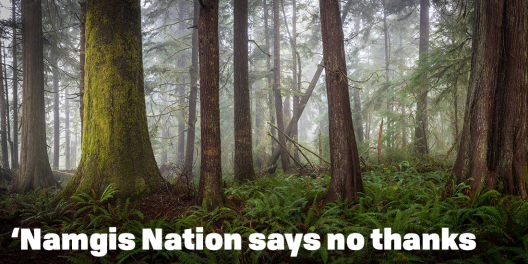 A picture of old growth in the fog with the words "'Namgis Nation says no thanks"