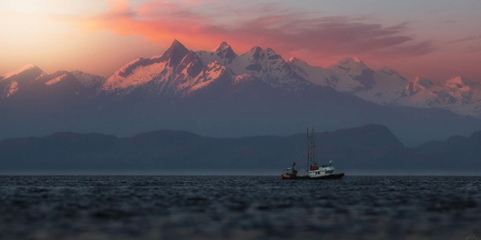 A longliner crosses the Queen Charlotte Strait in a cotton candy pink sunset.