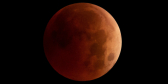 The Blood Moon eclipse, November 2022, over Port McNeill.
