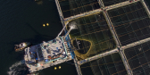 An aerial shot of a hydrolicer parked next to a floating factory fish farm.