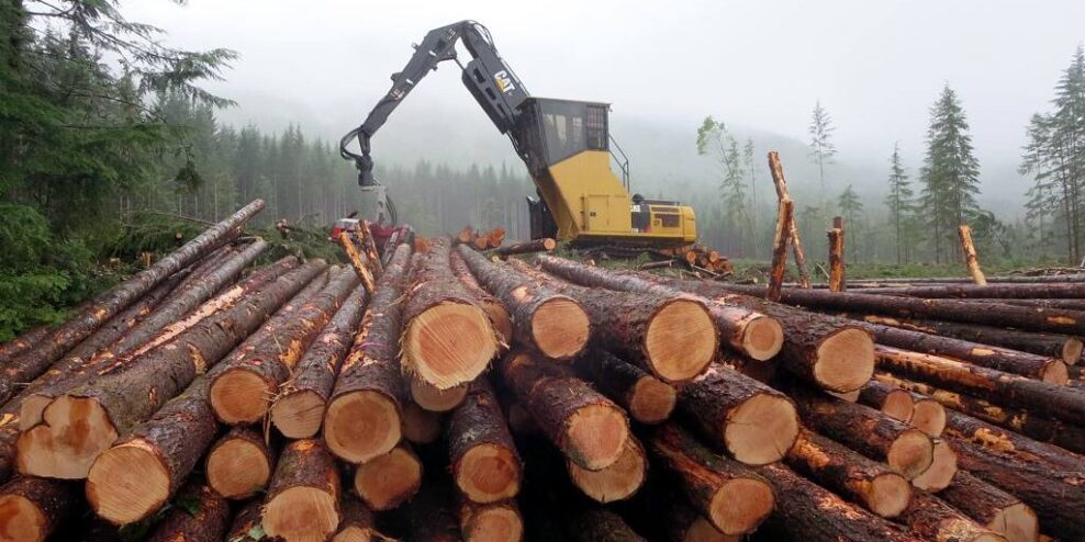A pile of logs with a crane in the background