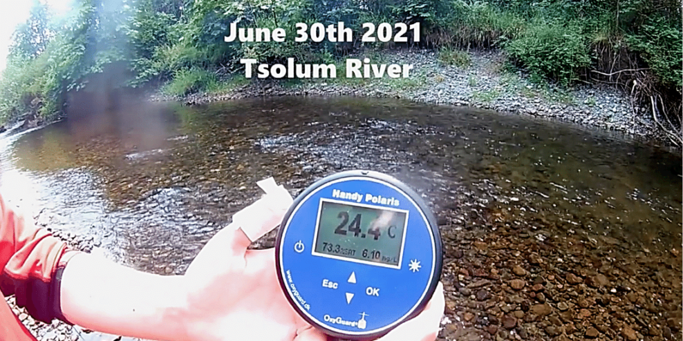 Tsolum River Restoration Society surveying cooler pools for salmon fry