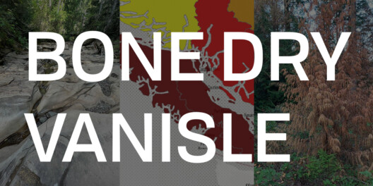 A picture of a dry creek, a drought map of VanIsle, and a dead red cedar covered by the text "BONE DRY VANISLE".