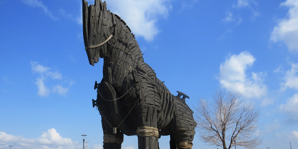 A picture of the Trojan Horse from the movie Troy. The horse is a large sculpture made of wood.