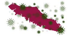 An outline of Vancouver Island in dark red with lots of green COVID molecules scattered over it.