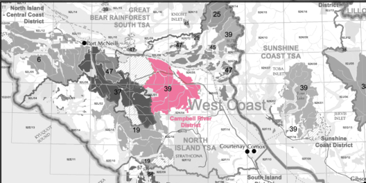 A black-and-white map of the tree farm licenses on Vancouver Island. Only TFL 39 north of Campbell River is in hot pink.
