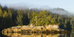 Turn Island at the intersection of Johnstone Strait and Discovery Passage