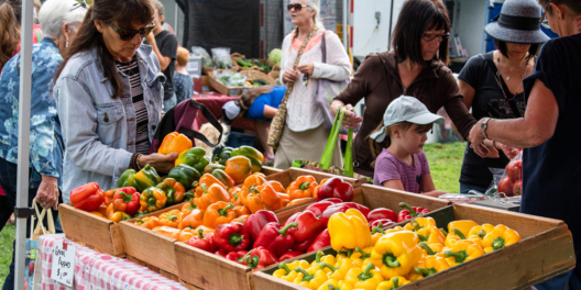 Boxes of perfectly ripe red, yellow, and orange peppers lure people in to a vendor booth on a sunny day.