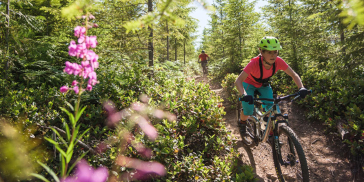 Mountain bikers shred the trails on a sunny day. There are wildflowers in the foreground.