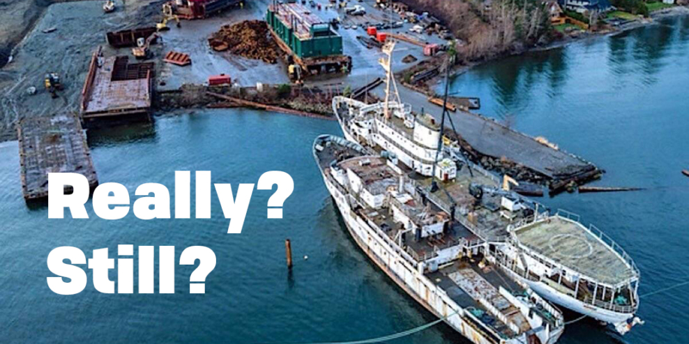 An aerial photo of two ships being broken apart in Union Bay with the words "Still? Really?" overtop.