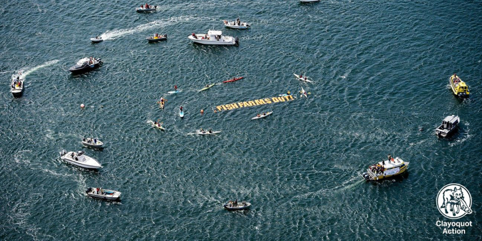 A drone shot of boats circling on the water around a floating sign that reads "Fish Farms Out."