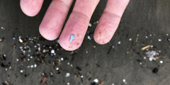 A closeup of microplastics on someone's fingers.