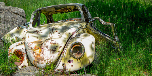 An old VW Beetle rusts in green grass.