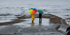 Two people with bright umbrellas stand on a grey and windy beach.