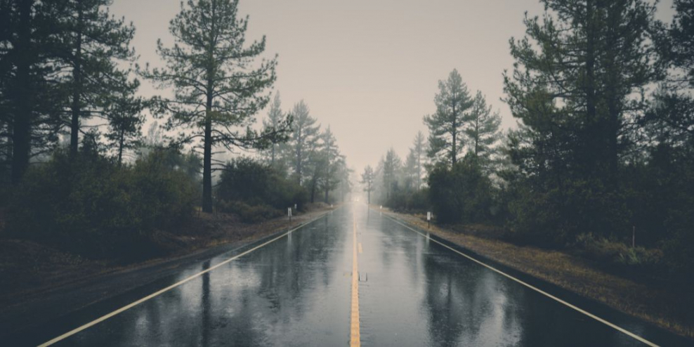 An empty road on a rainy day.